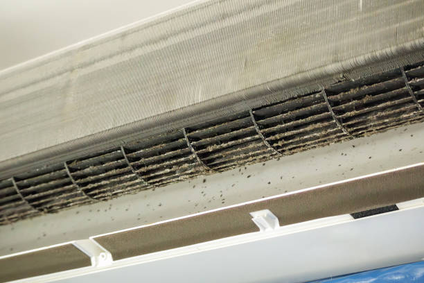 Best Professional Duct Cleaning Services  in Prairie Du Chien, WI