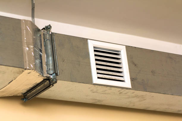 Best Air Duct Mold Removal  in Prairie Du Chien, WI